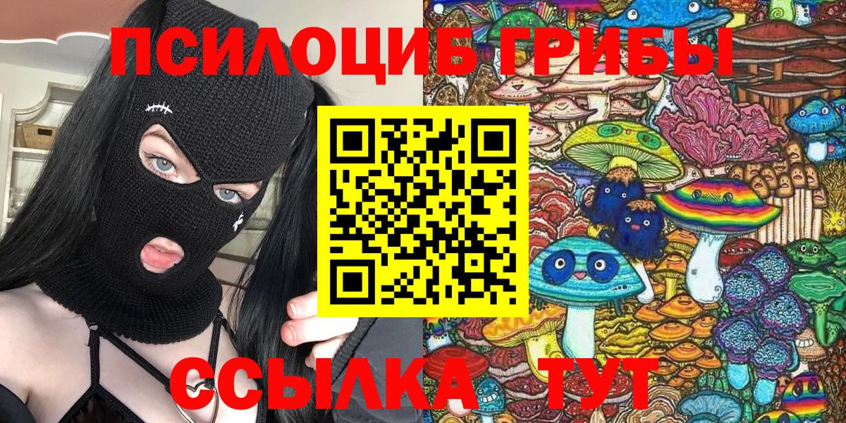 Псилоцибиновые грибы MAGIC MUSHROOMS Чернушка
