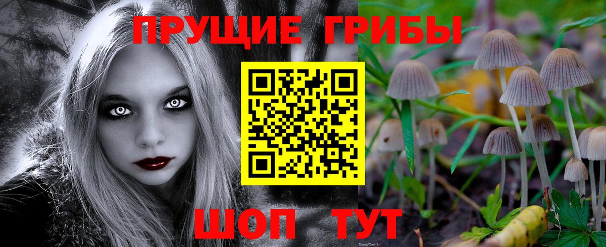 Галлюциногенные грибы Psilocybe  Вход с VPN  Чернушка  купить наркоту  Галлюциногенные грибы Magic Shrooms 